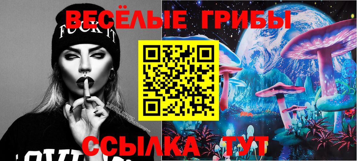 Канаш  Псилоцибиновые грибы Magic Shrooms  Вход с VPN 