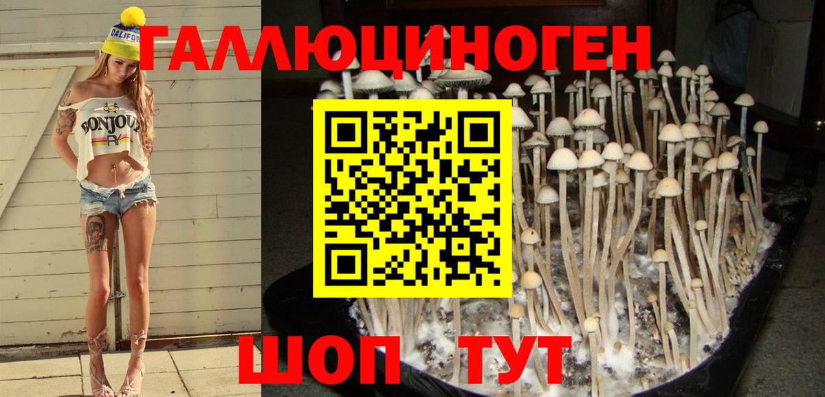 Галлюциногенные грибы Psilocybine cubensis Канаш